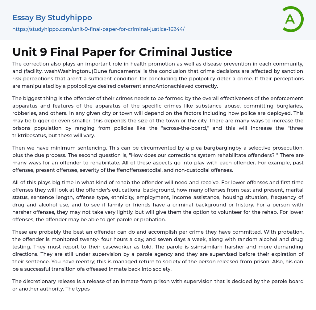 Unit 9 Final Paper for Criminal Justice Essay Example