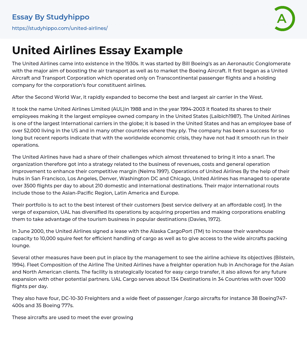 United Airlines Essay Example