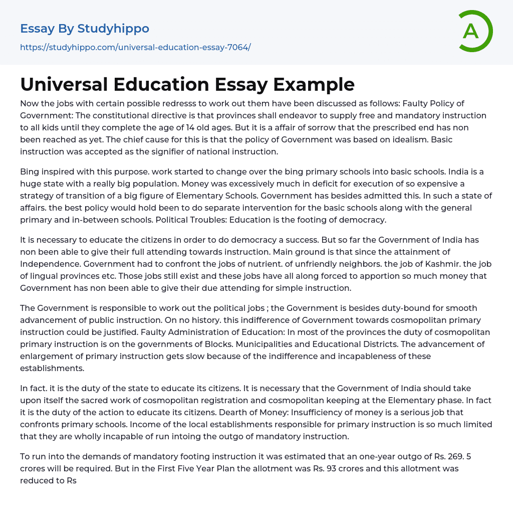 Universal Education Essay Example