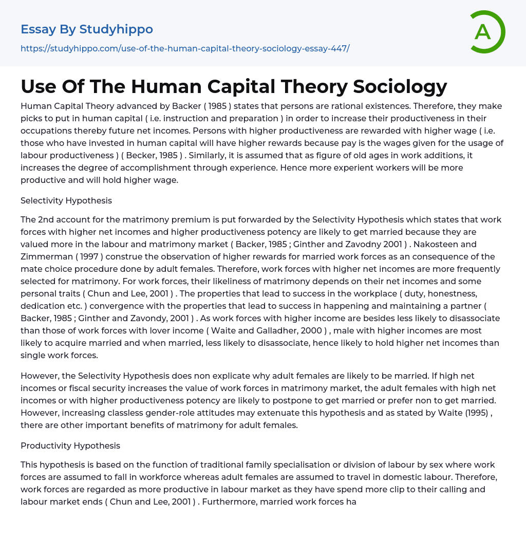 Use Of The Human Capital Theory Sociology Essay Example