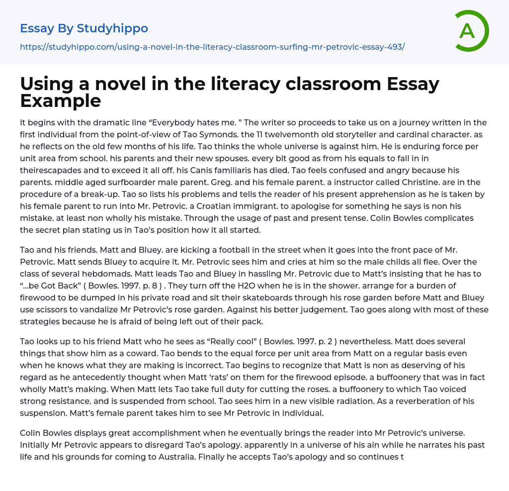 Using a novel in the literacy classroom Essay Example