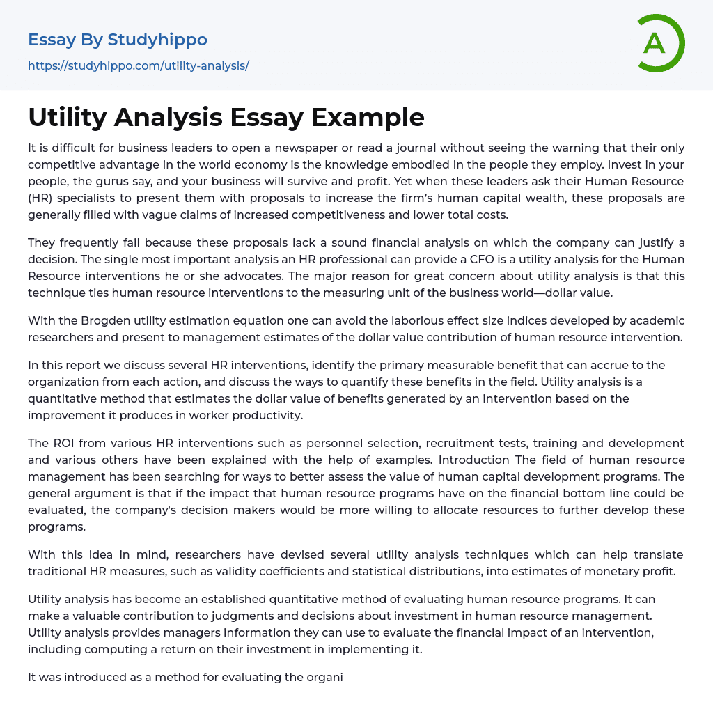 Utility Analysis Essay Example