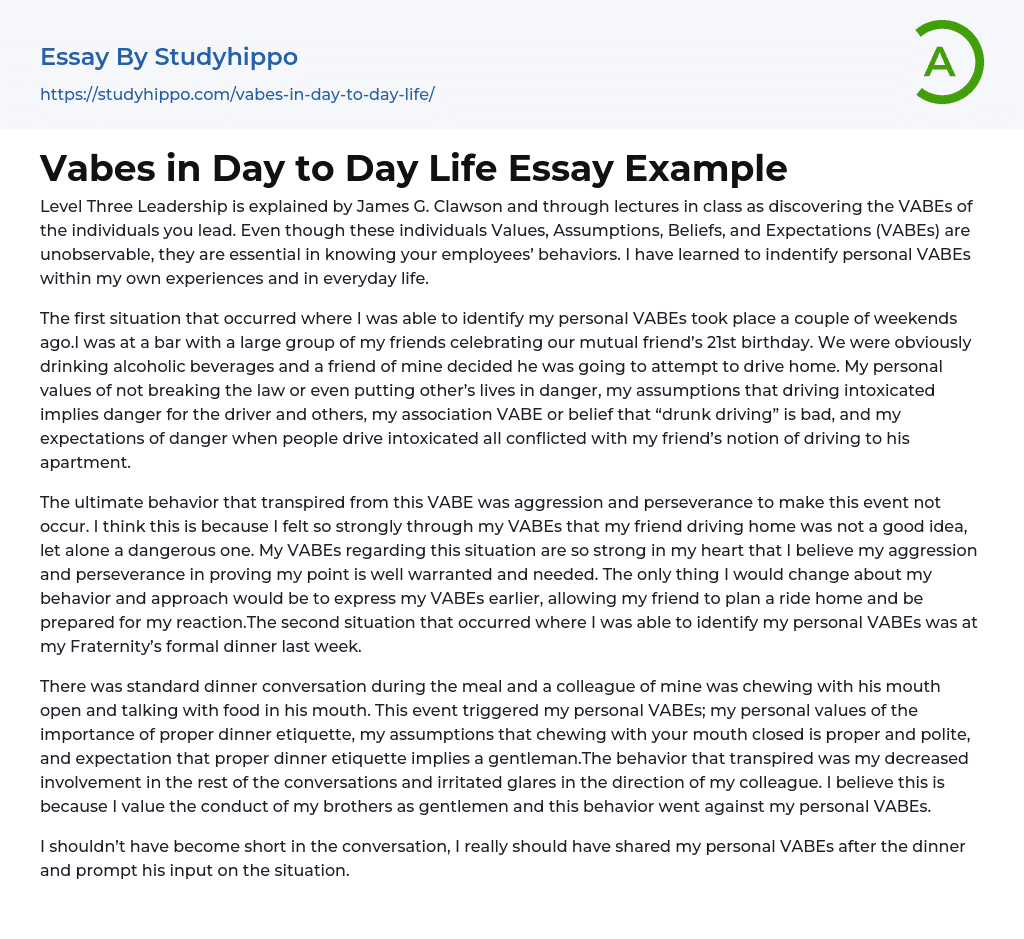 Vabes in Day to Day Life Essay Example
