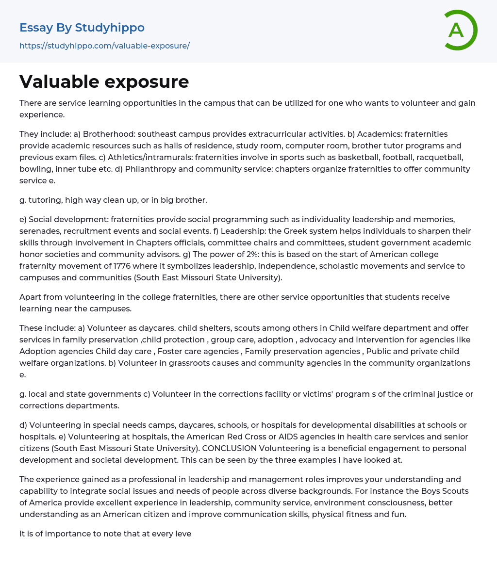 Valuable exposure Essay Example