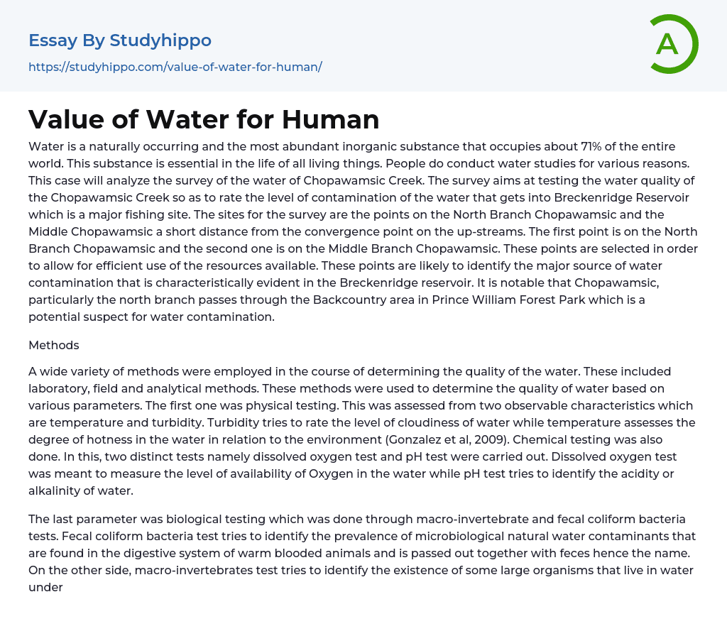 essay on value of water