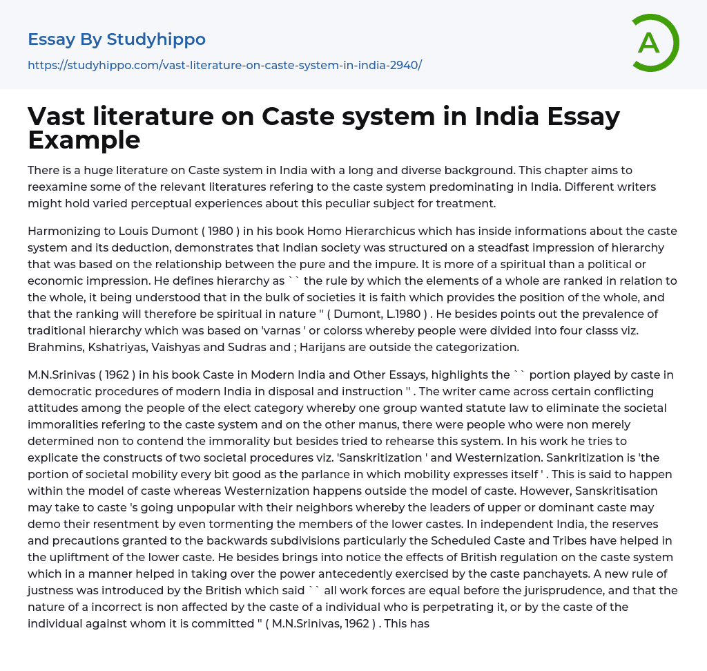 Vast literature on Caste system in India Essay Example