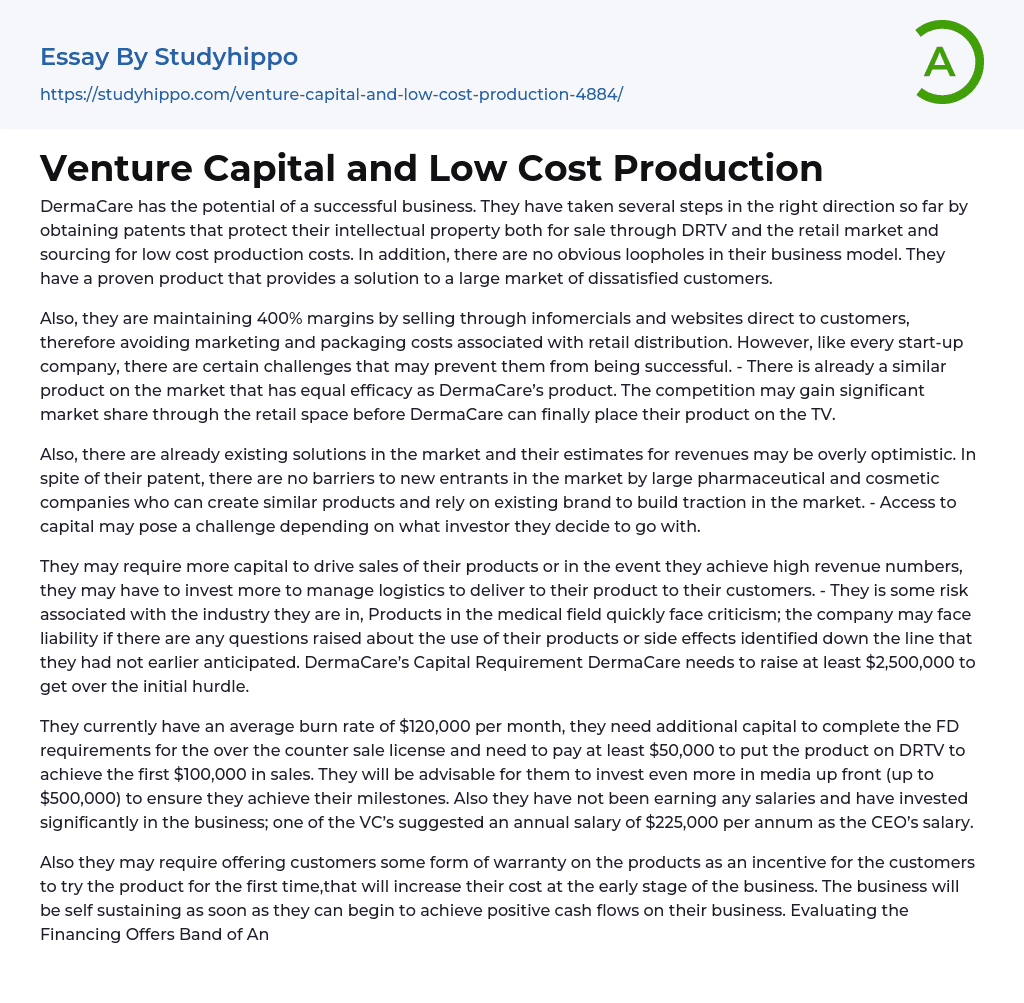 Venture Capital and Low Cost Production Essay Example