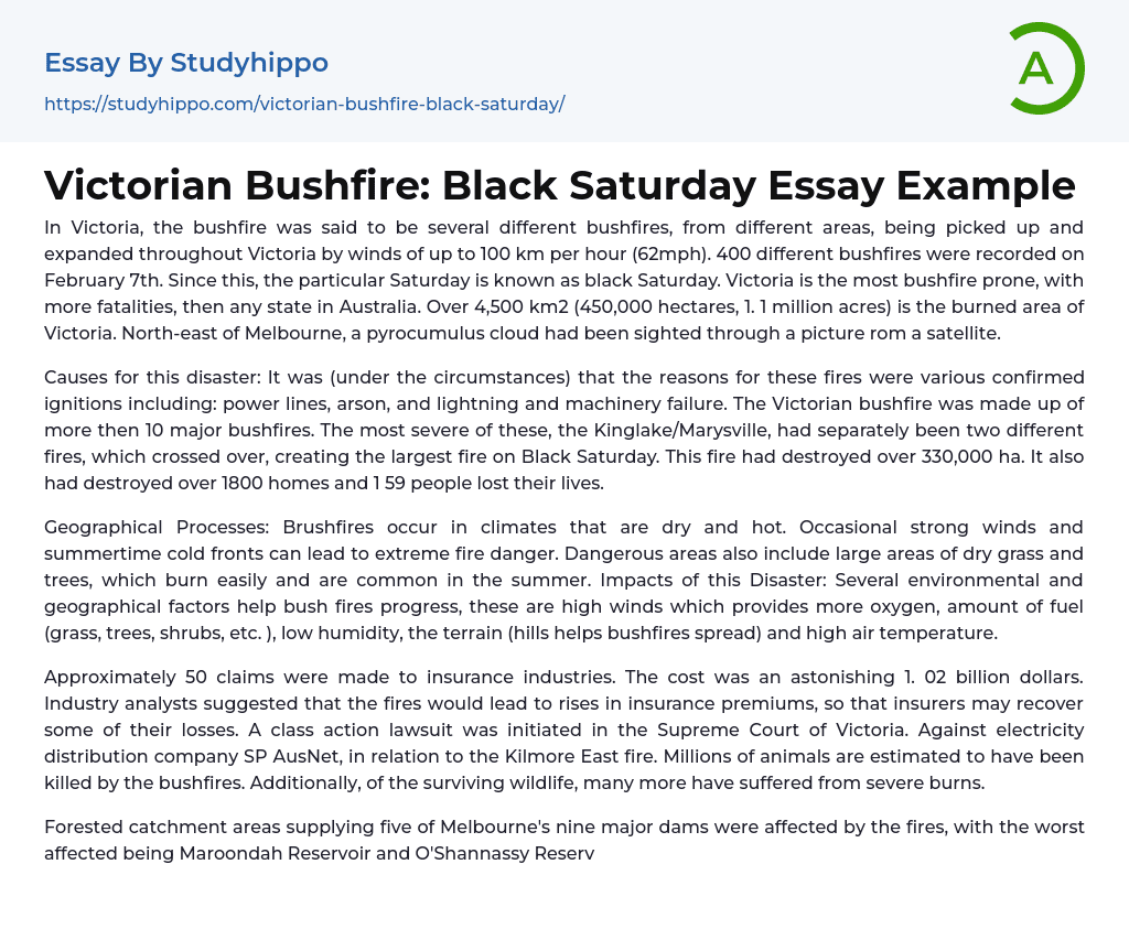 Victorian Bushfire: Black Saturday Essay Example