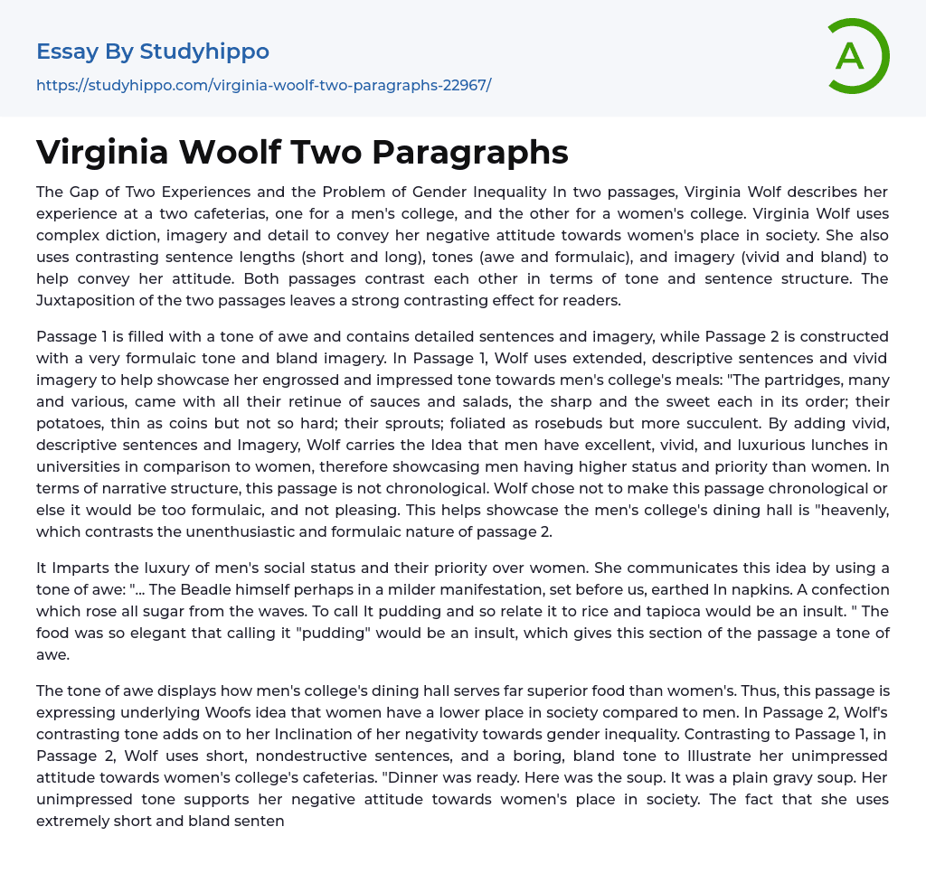 Virginia Woolf Two Paragraphs Essay Example