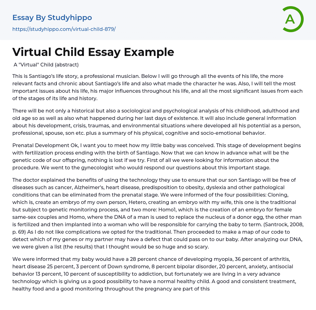 Virtual Child Essay Example