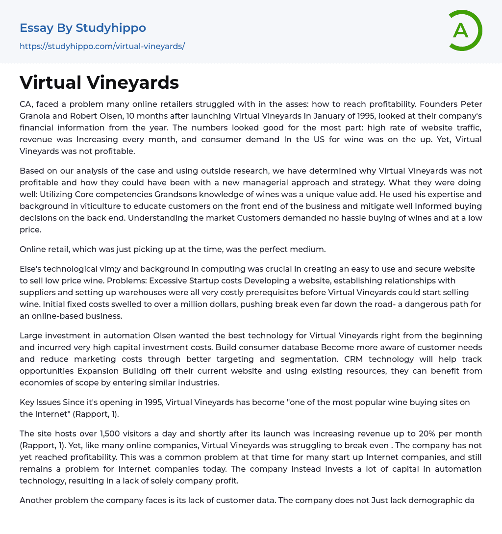 Virtual Vineyards Essay Example