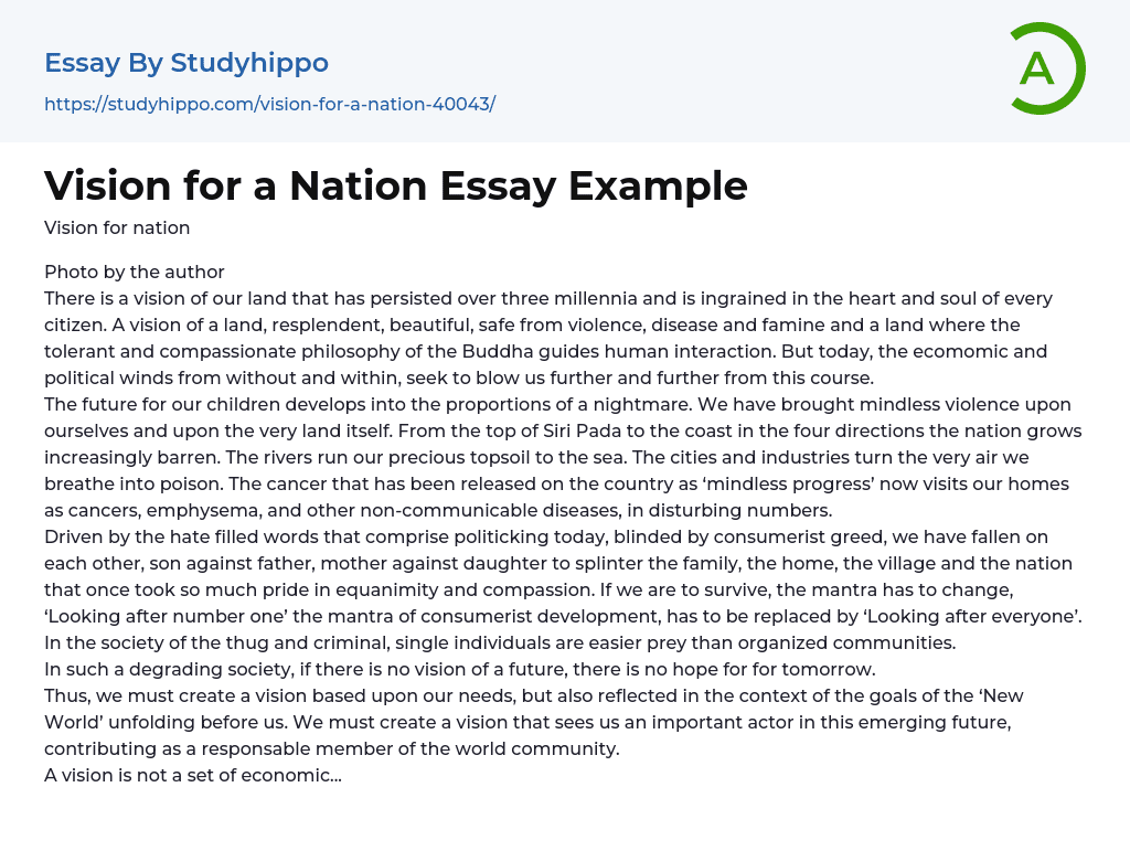 Vision for a Nation Essay Example