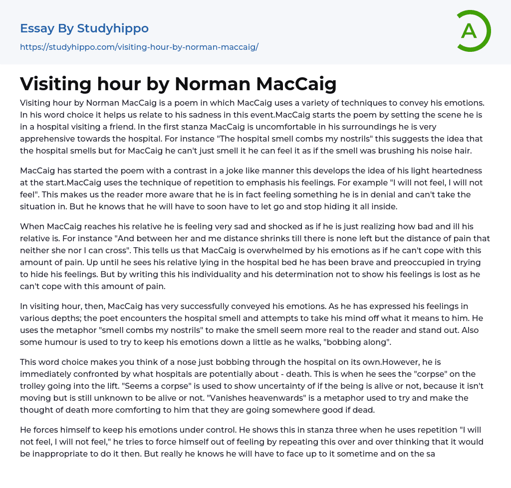 Visiting hour by Norman MacCaig Essay Example