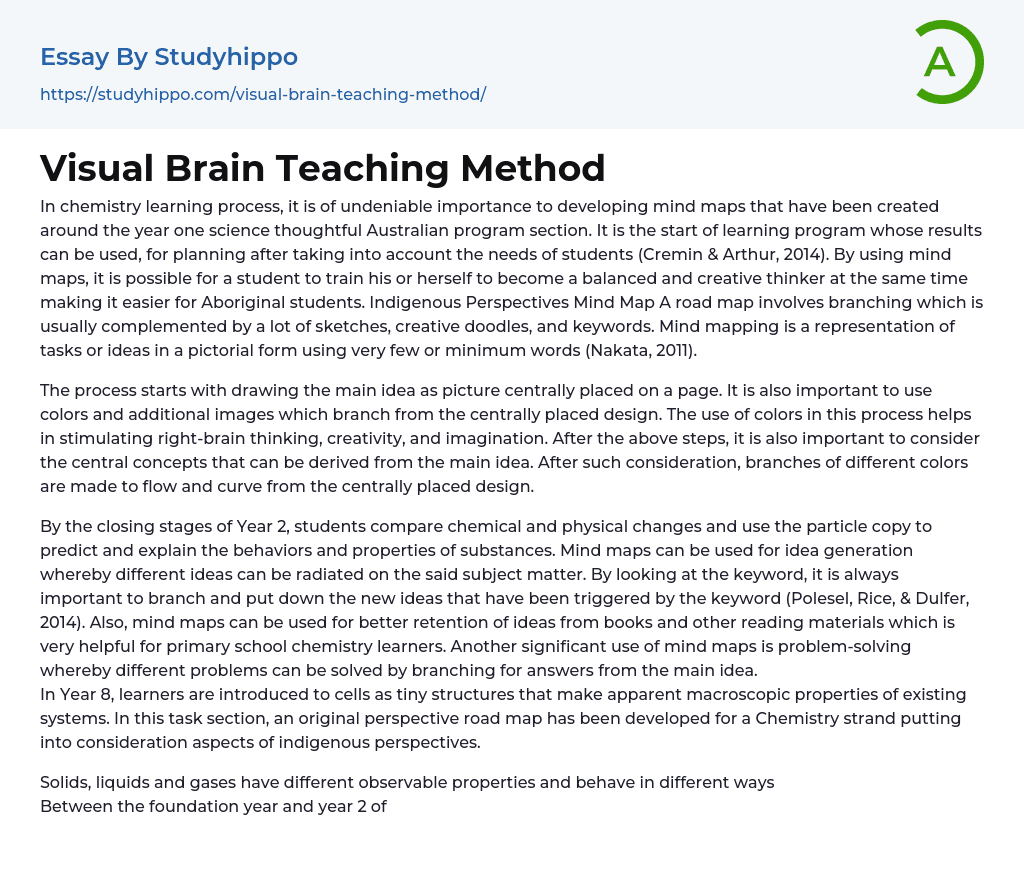 Visual Brain Teaching Method Essay Example