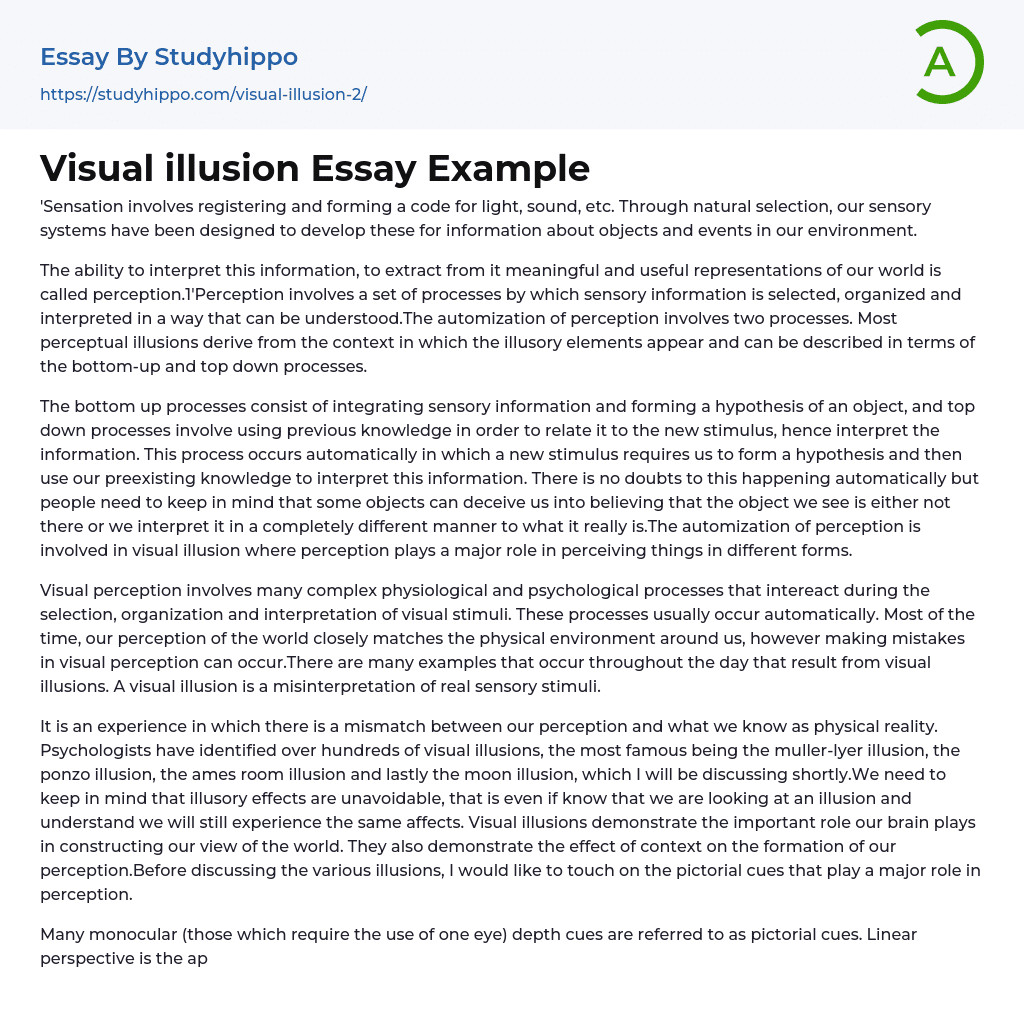Visual illusion Essay Example