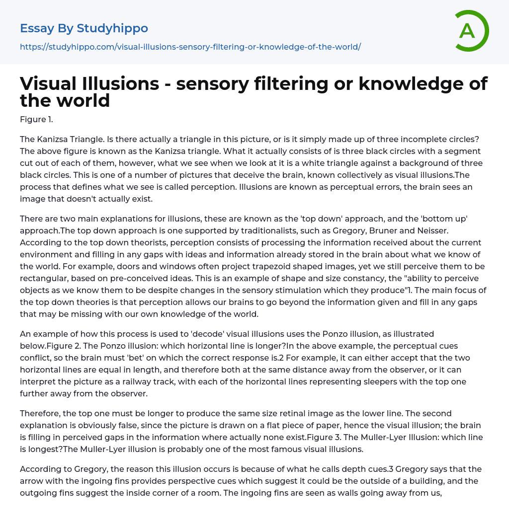 Visual Illusions – sensory filtering or knowledge of the world Essay Example