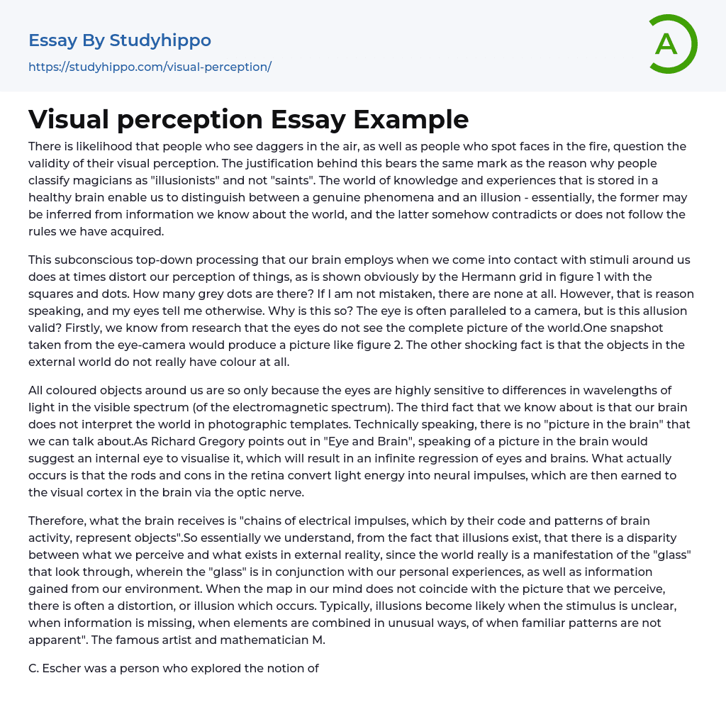 Visual perception Essay Example
