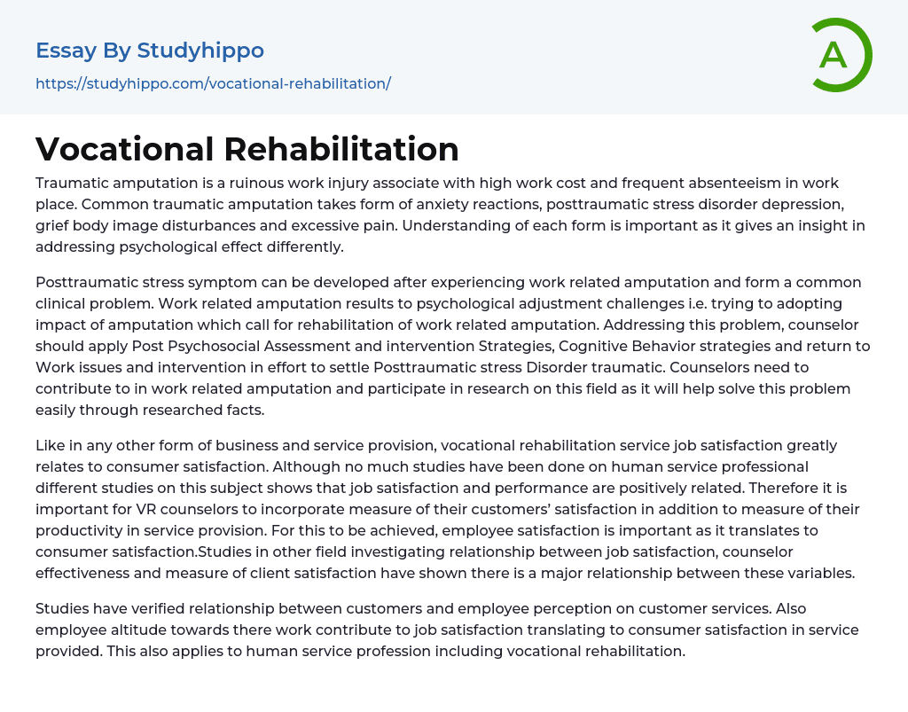Vocational Rehabilitation Essay Example