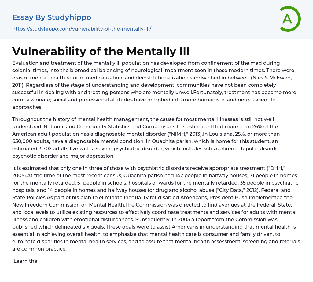 Vulnerability of the Mentally Ill Essay Example