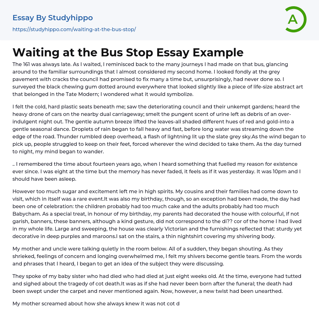 Waiting at the Bus Stop Essay Example