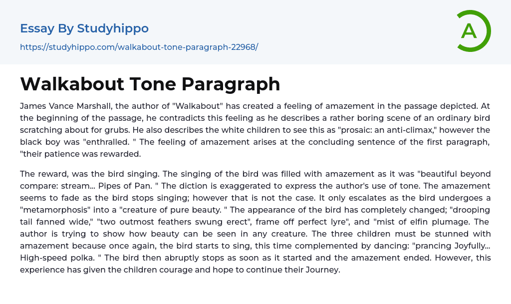 Walkabout Tone Paragraph Essay Example