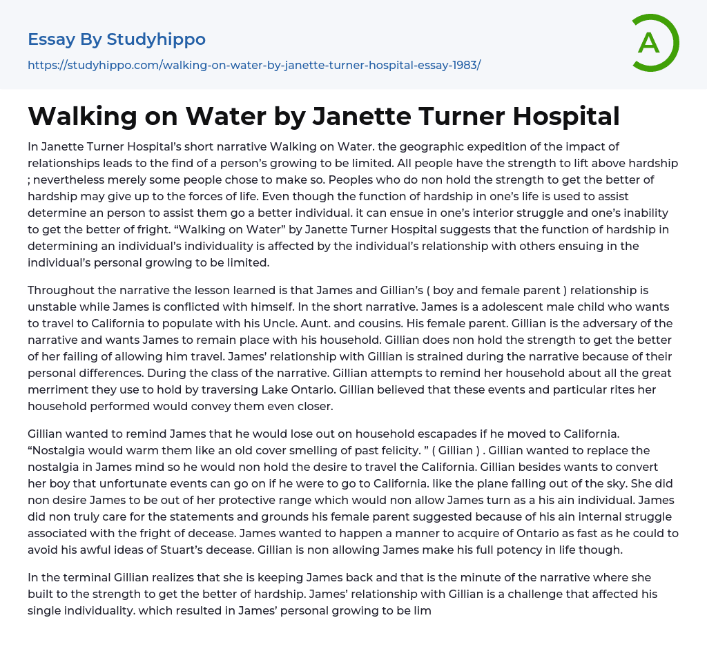 Walking on Water by Janette Turner Hospital Essay Example