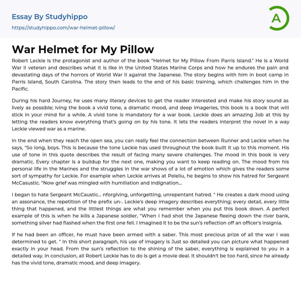 War Helmet for My Pillow Essay Example