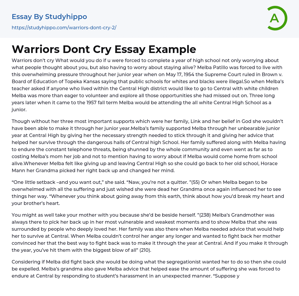 Warriors Dont Cry Essay Example