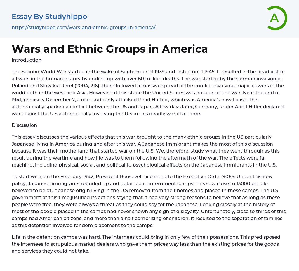 Wars and Ethnic Groups in America Essay Example