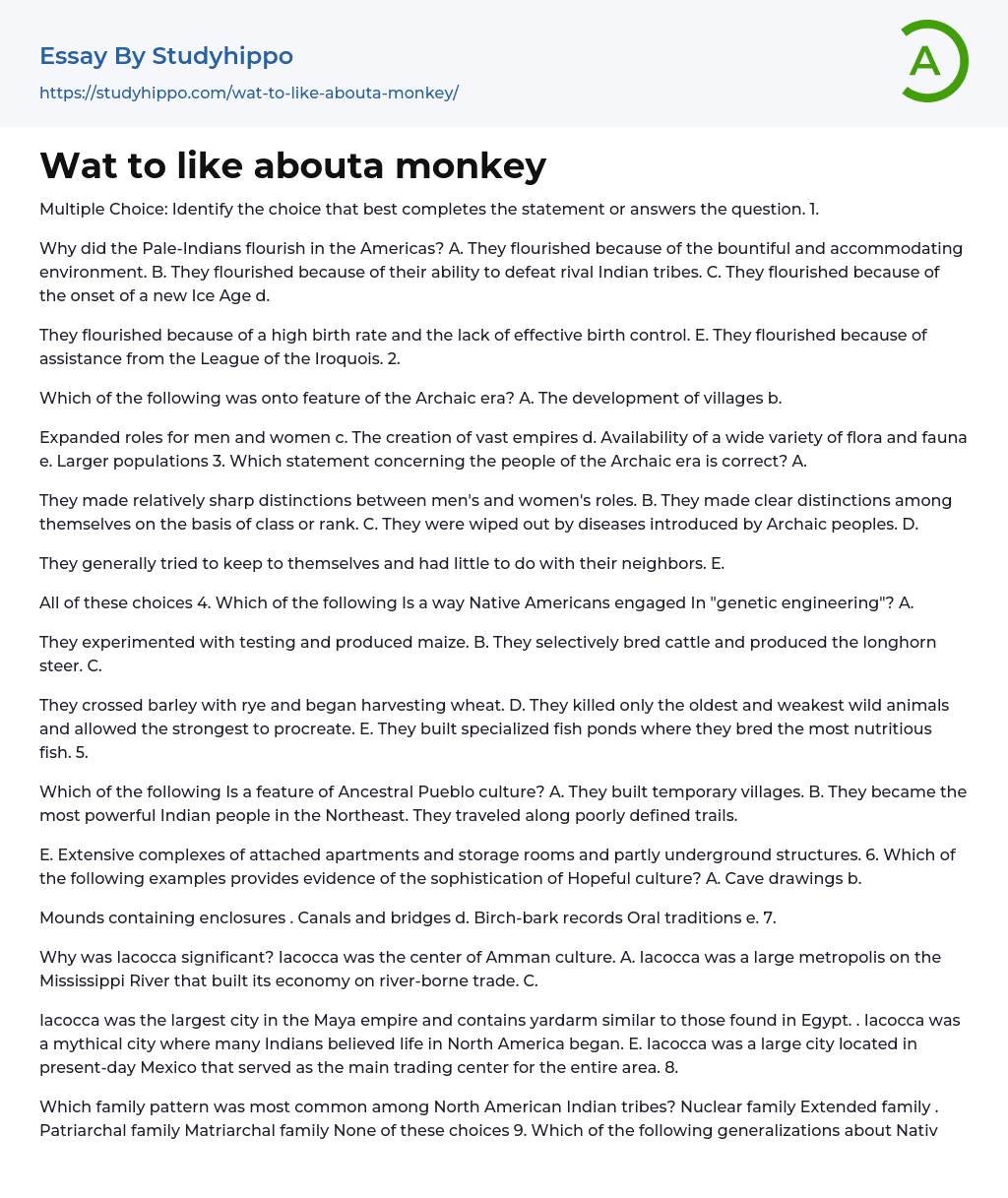 Wat to like abouta monkey Essay Example