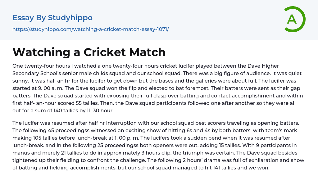 Watching a Cricket Match Essay Example