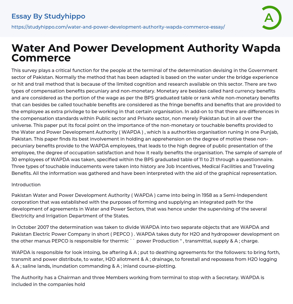 Water And Power Development Authority Wapda Commerce Essay Example