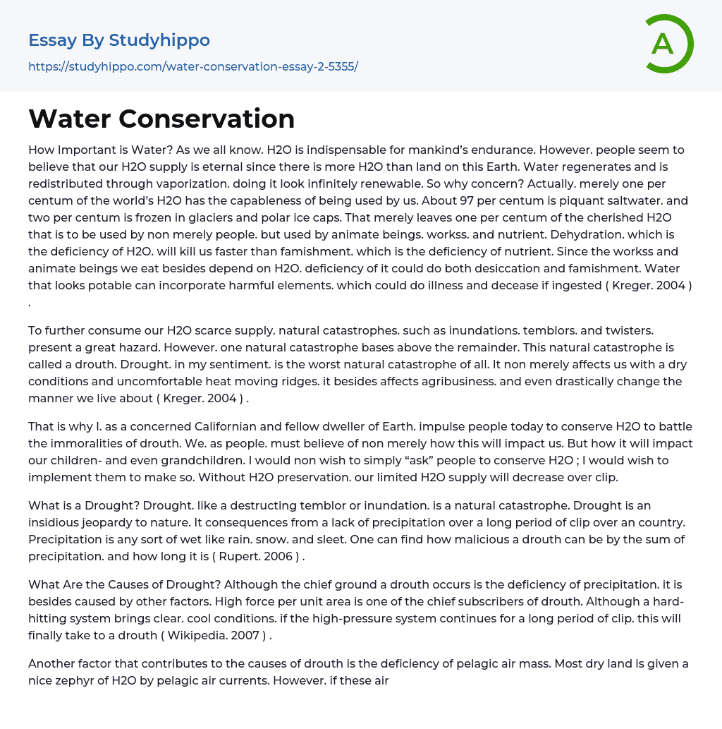 Water Conservation Essay Example