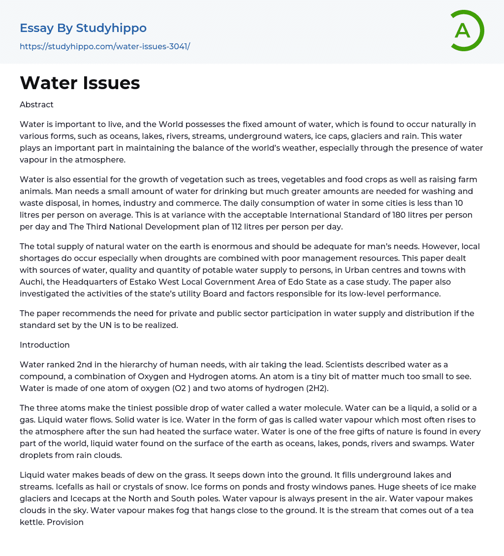 Water Issues Essay Example
