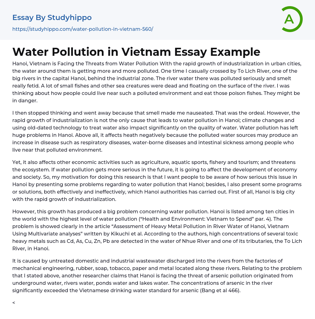Water Pollution in Vietnam Essay Example