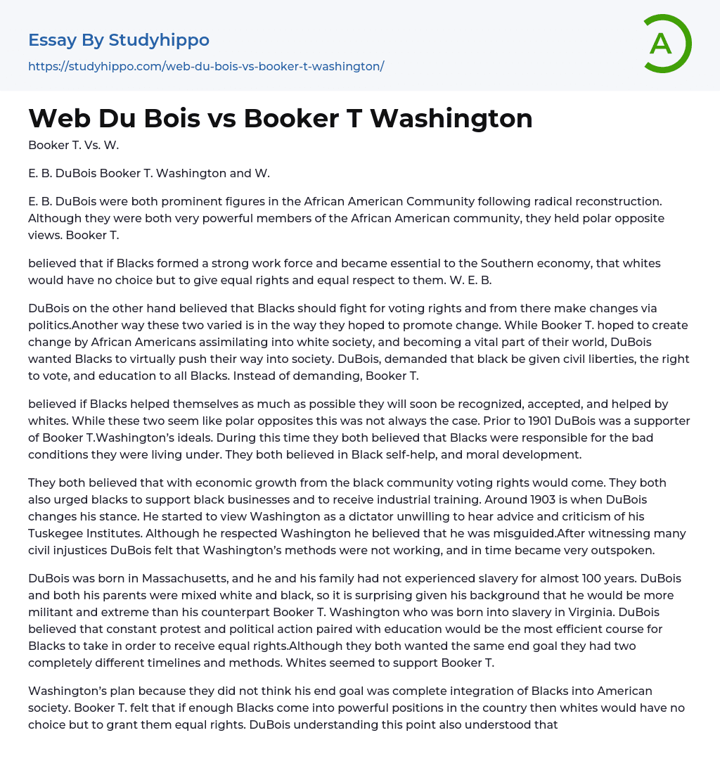 Web Du Bois vs Booker T Washington Essay Example