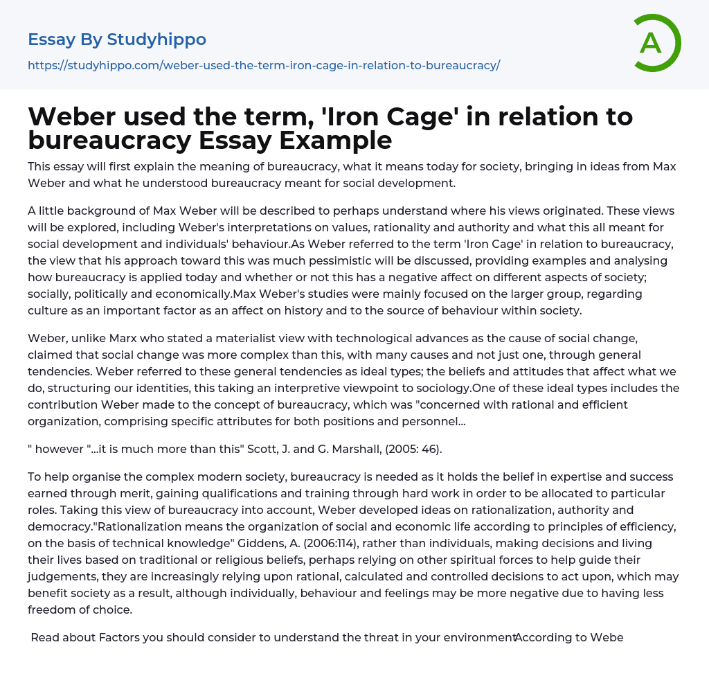 Weber used the term, ‘Iron Cage’ in relation to bureaucracy Essay Example