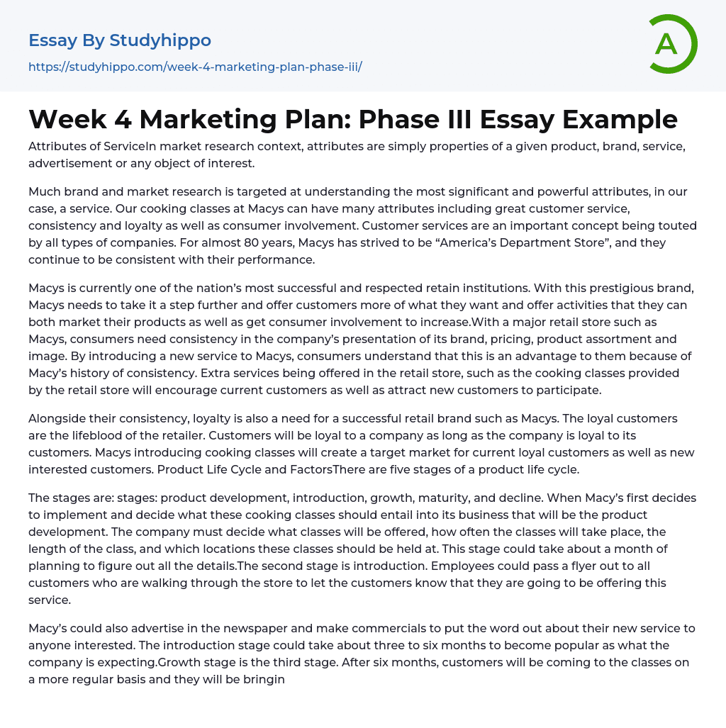 Week 4 Marketing Plan: Phase III Essay Example