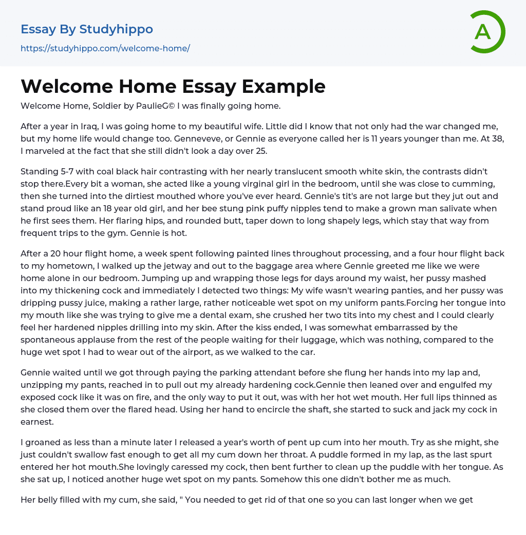 Welcome Home Essay Example