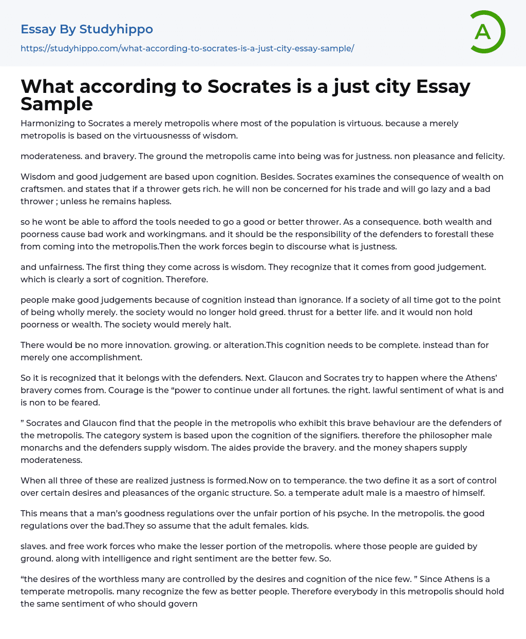 What according to Socrates is a just city Essay Sample