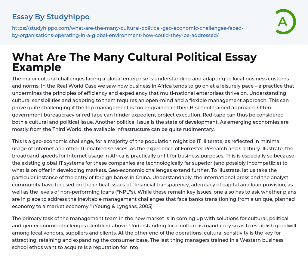 What Are The Many Cultural Political Essay Example