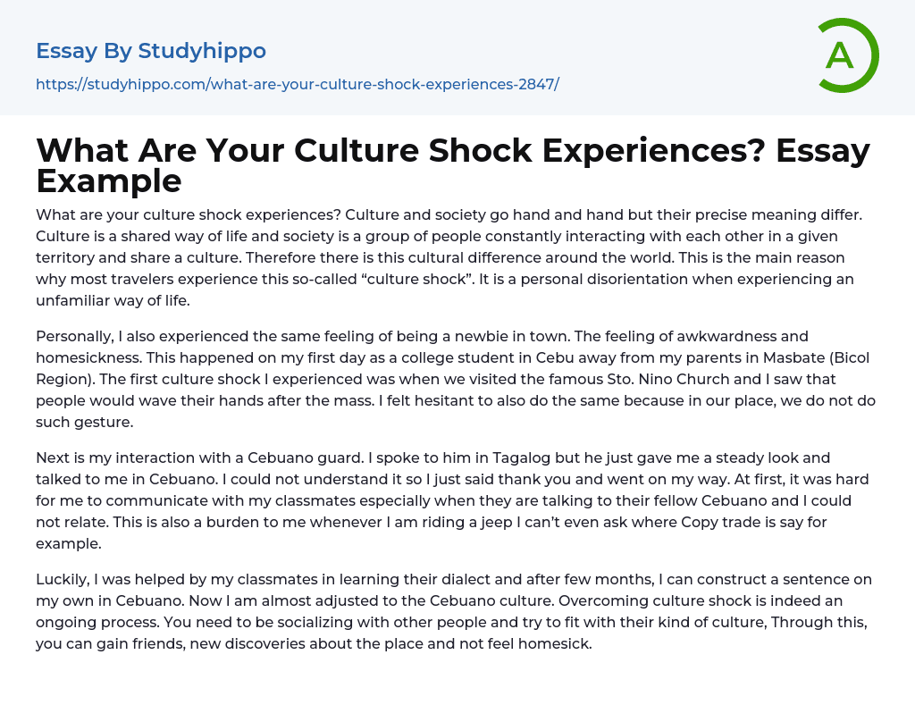 culture shock experience essay