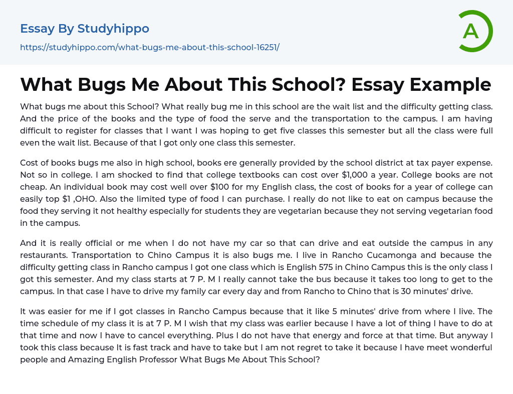 What Bugs Me About This School? Essay Example