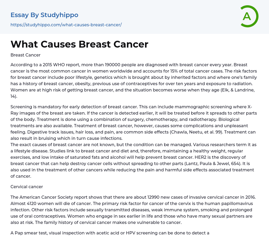 What Causes Breast Cancer Essay Example