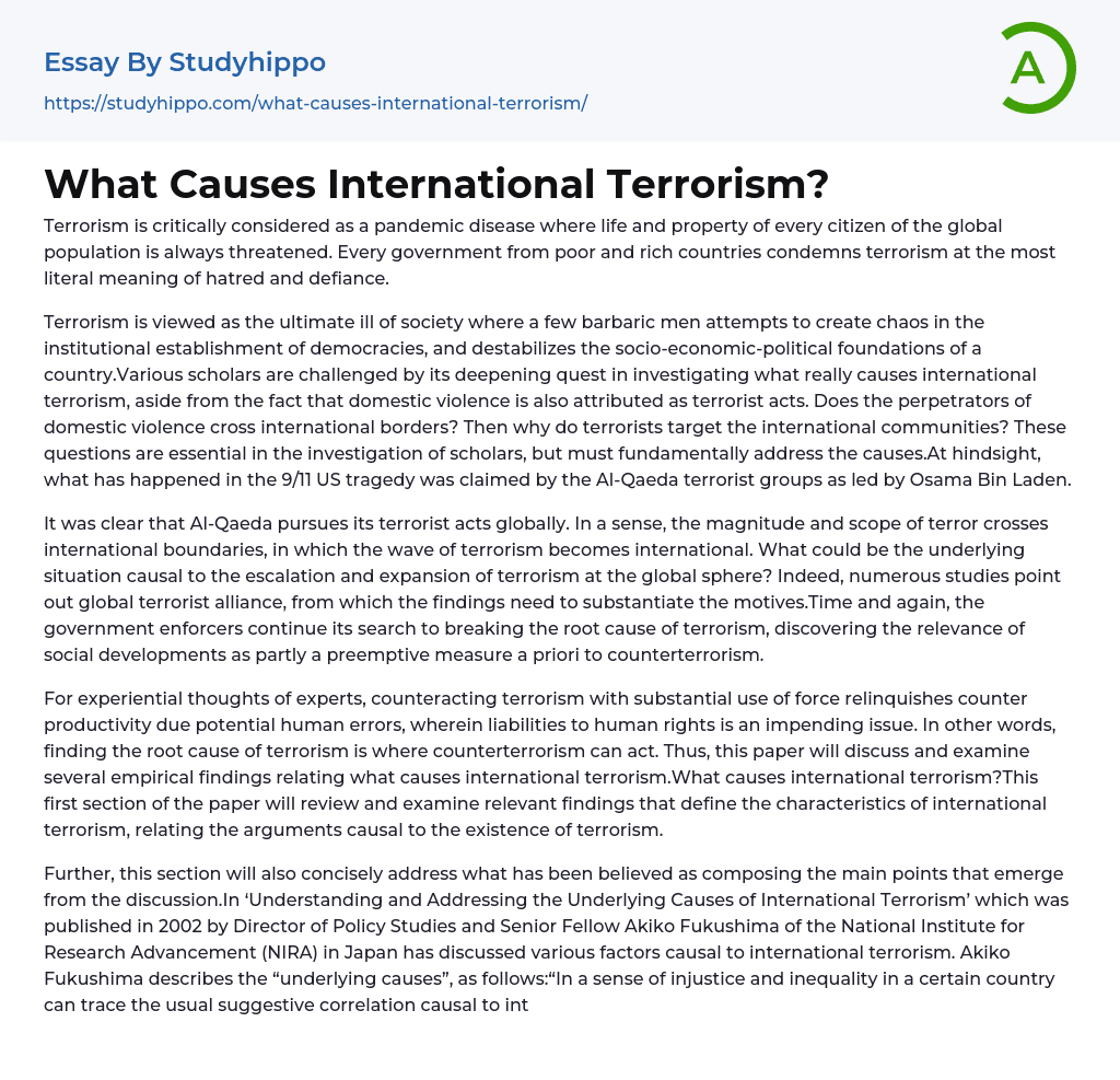 What Causes International Terrorism? Essay Example