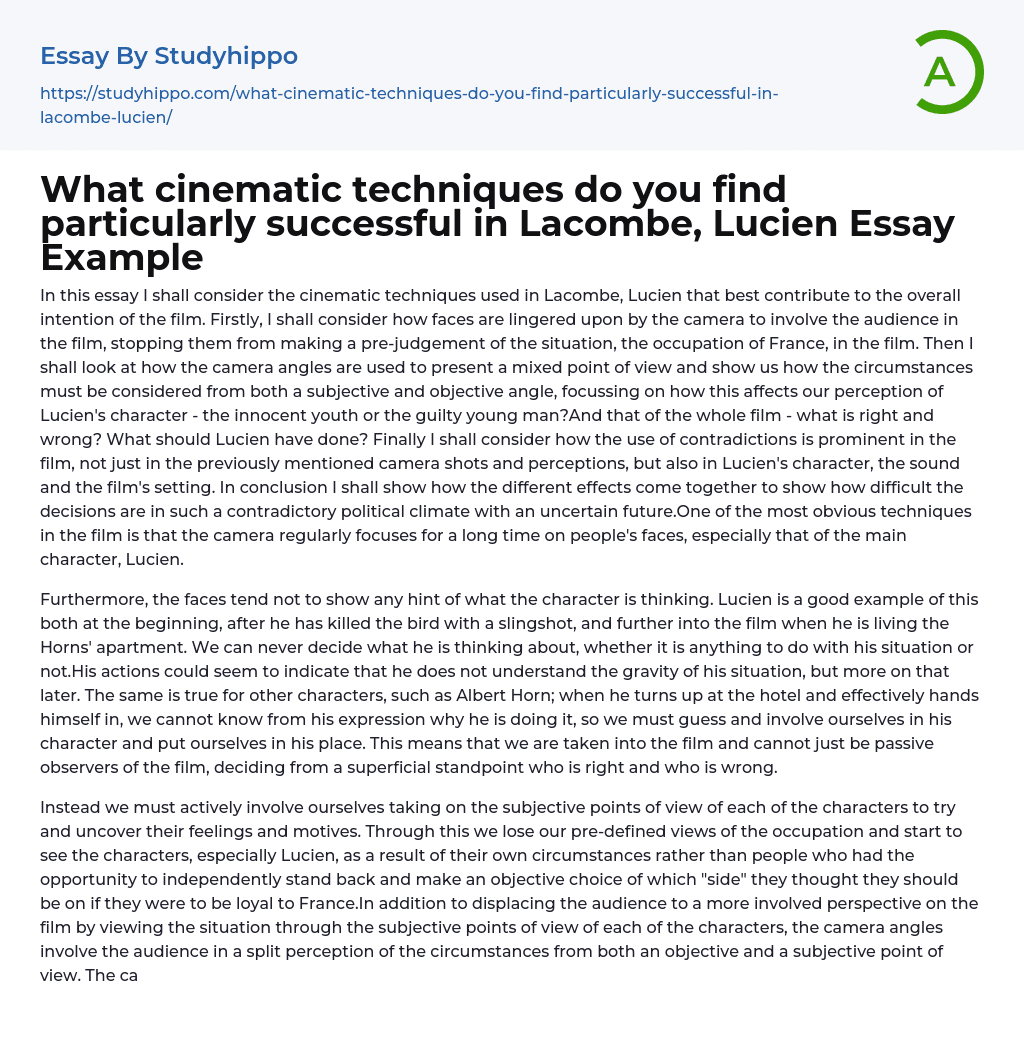 What cinematic techniques do you find particularly successful in Lacombe, Lucien Essay Example