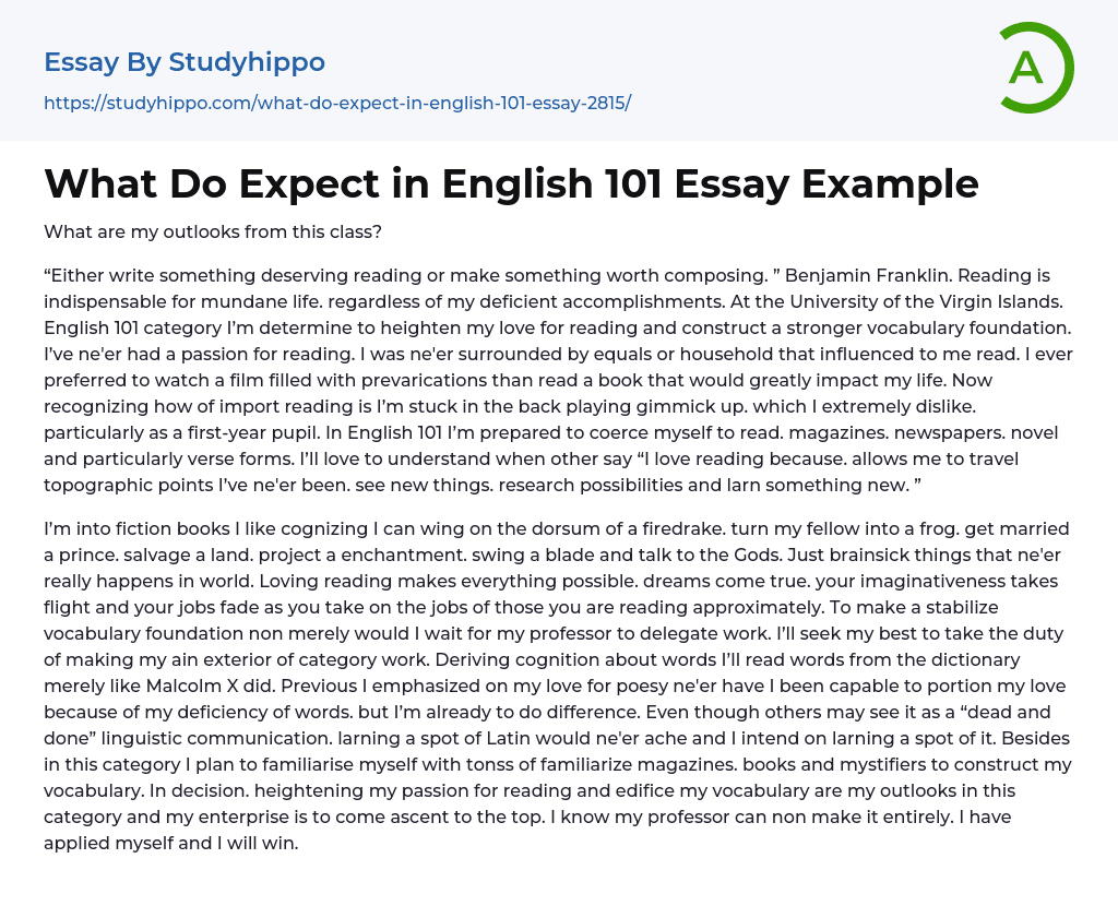 What Do Expect in English 101 Essay Example