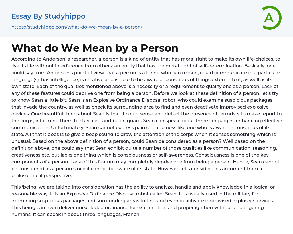 What do We Mean by a Person Essay Example