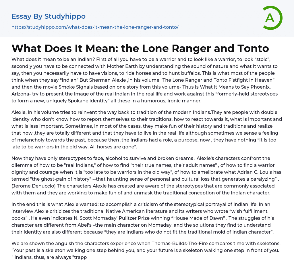 What Does It Mean: the Lone Ranger and Tonto Essay Example