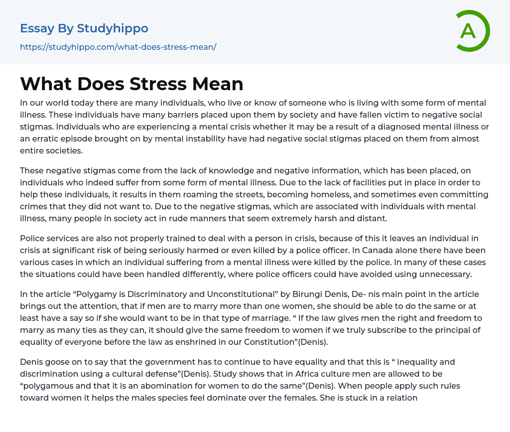 What Does Stress Mean Essay Example StudyHippo